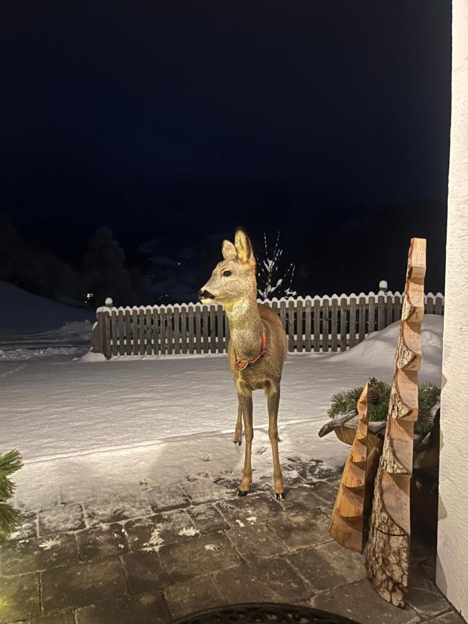 Willa Bio-Bergbauernhof Hubgut Zell am See Zewnętrze zdjęcie
