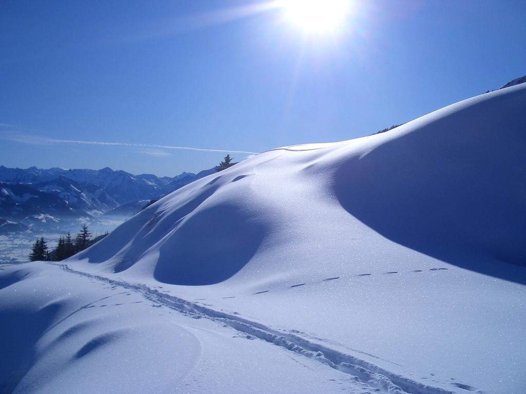Willa Bio-Bergbauernhof Hubgut Zell am See Zewnętrze zdjęcie