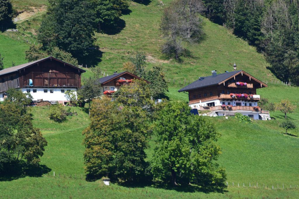 Willa Bio-Bergbauernhof Hubgut Zell am See Zewnętrze zdjęcie